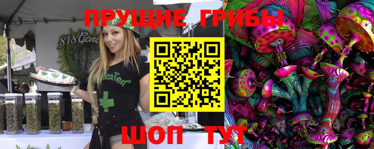 Псилоцибиновые грибы Psilocybine cubensis Реж
